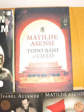 ​Lote 5 Novelas: Matilde Asensi, Allende, Reverte