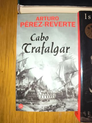 ​Lote 5 Novelas: Matilde Asensi, Allende, Reverte