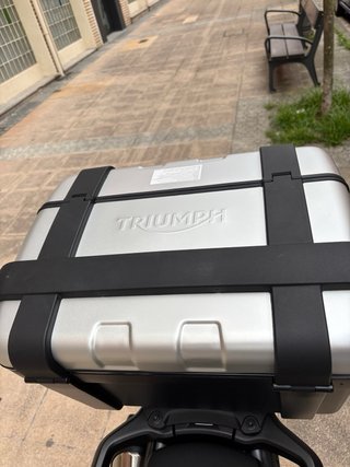 Triumph Tiger 900 GT Pro 2024
