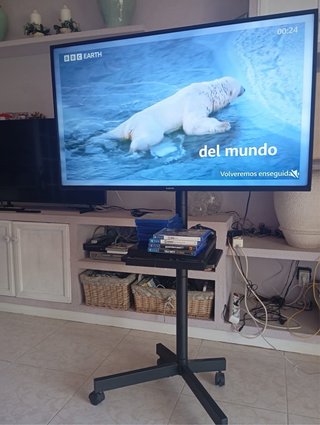 TV Xiaomi con Soporte Móvil