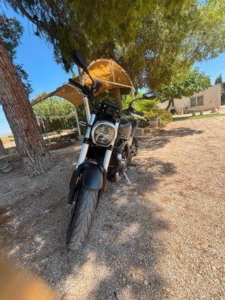 Voge 525 AC Moto Naked Gris/Plata
