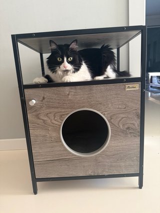 Casa para gatos de madera