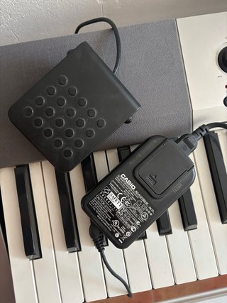 Casio CDP-130SR Piano Digital 88 Teclas.