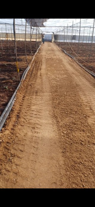 Finca invernadero en las norias
