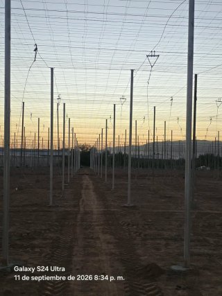 Finca invernadero en las norias