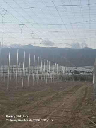 Finca invernadero en las norias