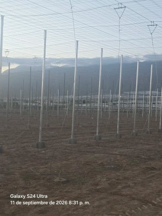 Finca invernadero en las norias