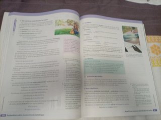 Lengua castellana y literatura 2 Bachillerato