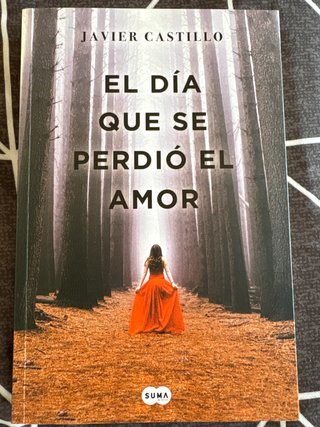 El día que se perdió el amor