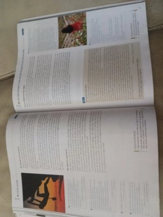 Religión católica, Bachillerato