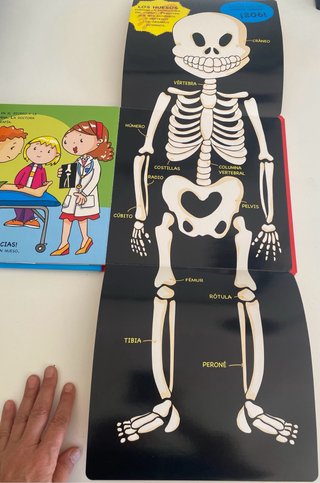 Libro infantil con pop - ups. Nuevo