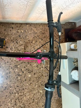 Bicicleta paseo
