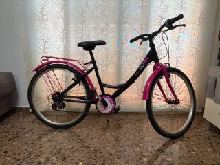 Bicicleta paseo