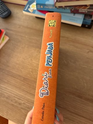 Diari d'una penjada 3
