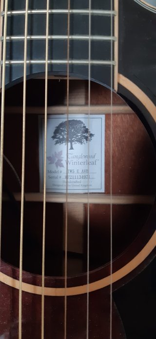 Guitarra Tanglewood TW5 Winterleaf electroacústica