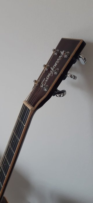 Guitarra Tanglewood TW5 Winterleaf electroacústica