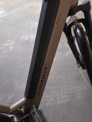 Bicicleta Eléctrica Conor Paseo color champán