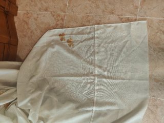Cortina beige con bordado dorado