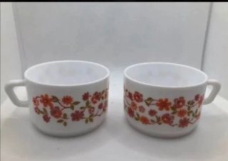 2 TAZAS ARCOPAL  NOCILLA.