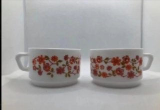 2 TAZAS ARCOPAL  NOCILLA.