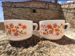 2 TAZAS ARCOPAL  NOCILLA.