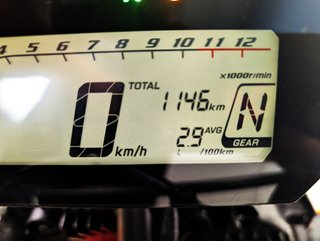 HONDA CRF 300 Rally   (2021-2024) 2024