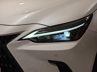 Lexus NX 350h Business City 4WD
