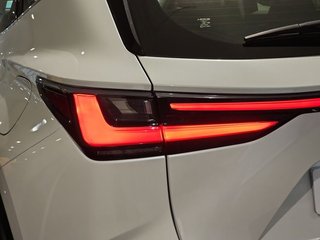 Lexus NX 350h Business City 4WD