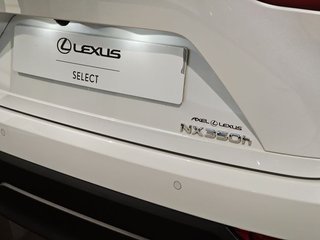 Lexus NX 350h Business City 4WD