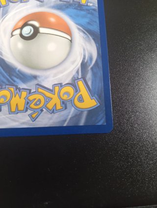 Carta Pokémon Mega Dragonite EX 290/217
