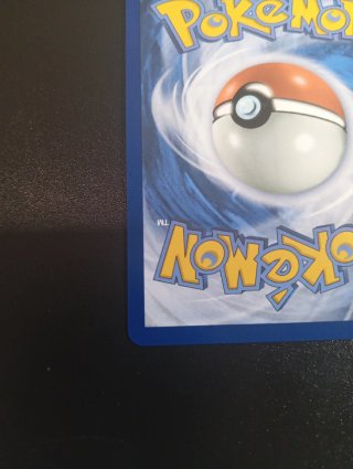 Carta Pokémon Mega Dragonite EX 290/217