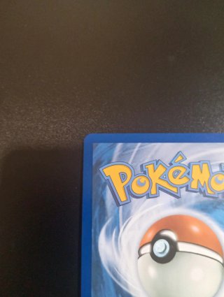 Carta Pokémon Mega Dragonite EX 290/217