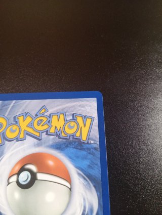 Carta Pokémon Mega Dragonite EX 290/217