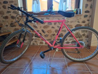 Bicicleta Montaña Rosa DIAL