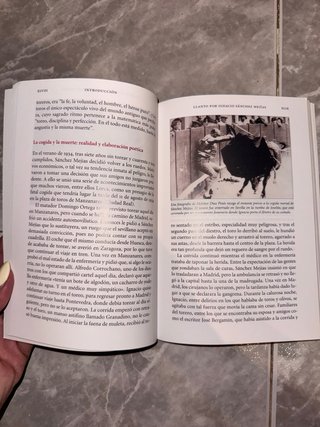Romancero gitano Llanto por Ignacio Sánchez Mejías