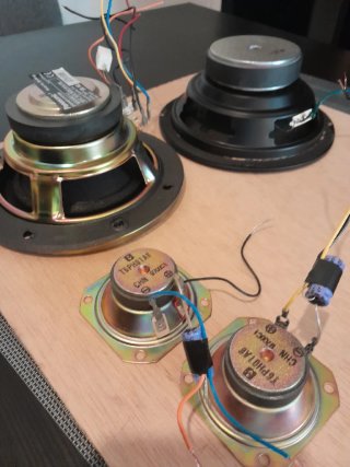 Lote Altavoces Panasonic Woofers y Tweters