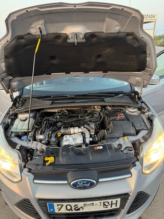 Ford Focus 2014