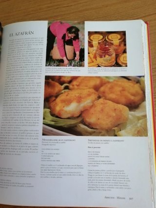 Especialidades de Italia el arte en la cocina
