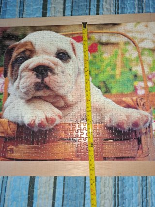 Puzzle 500 piezas Bulldog Francés
