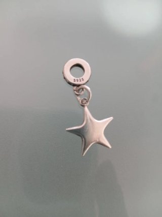 Charm Pendente Stella Marina / Stella Classica