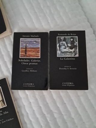 Novelas clasicas (Cátedra)