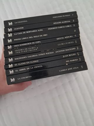 Novelas clasicas (Cátedra)