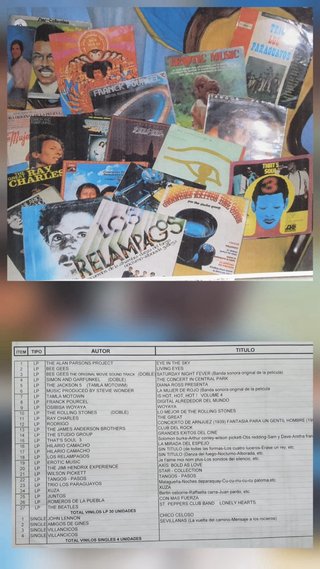 Lote de Discos de Vinilo Variados