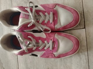 Scarpe Nike SB Alleyoop Rosa/Bianco