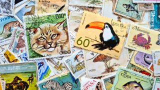 90 Sellos Temáticos Animales