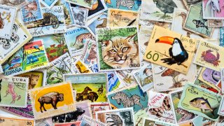 90 Sellos Temáticos Animales