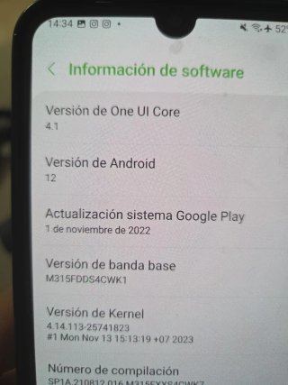 Samsung Galaxy M31 SM-M315F/DSN