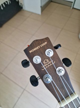 Ukelele Monkey Loop