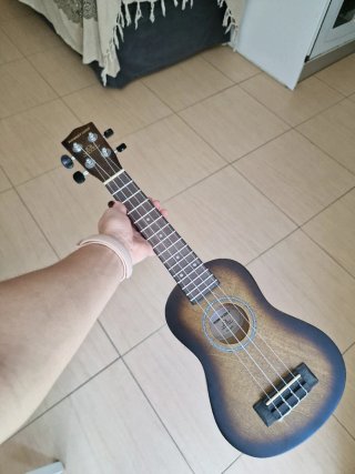 Ukelele Monkey Loop
