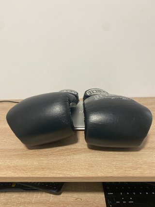 Guantes de Boxeo Charlie 16-TNT